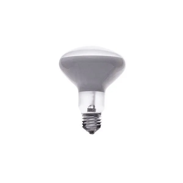 Flos LED E27 13W 1180lm 220-240V 2700K R125 G.PLUX – pære — produktfoto