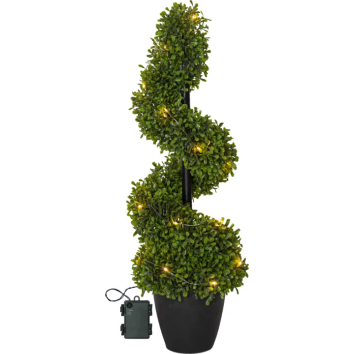 Star Trading Buxbom lystræ, 65 cm – dekorationslys — produktfoto