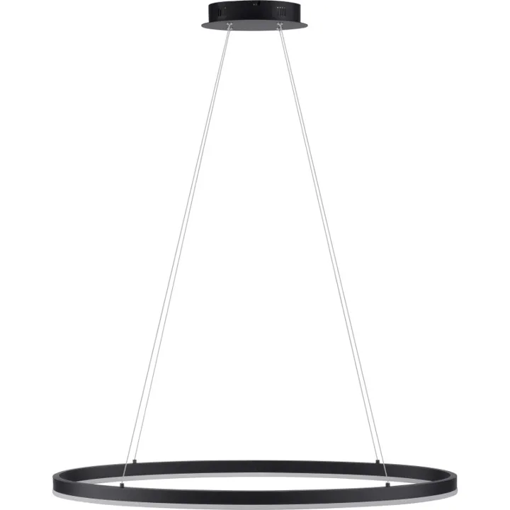 Paul Neuhaus Titus Oval Ø80x39 cm – lysekrone — produktfoto