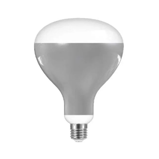 Flos LED Pære 13W E27 220-240V 2700K R125 – pære — produktfoto