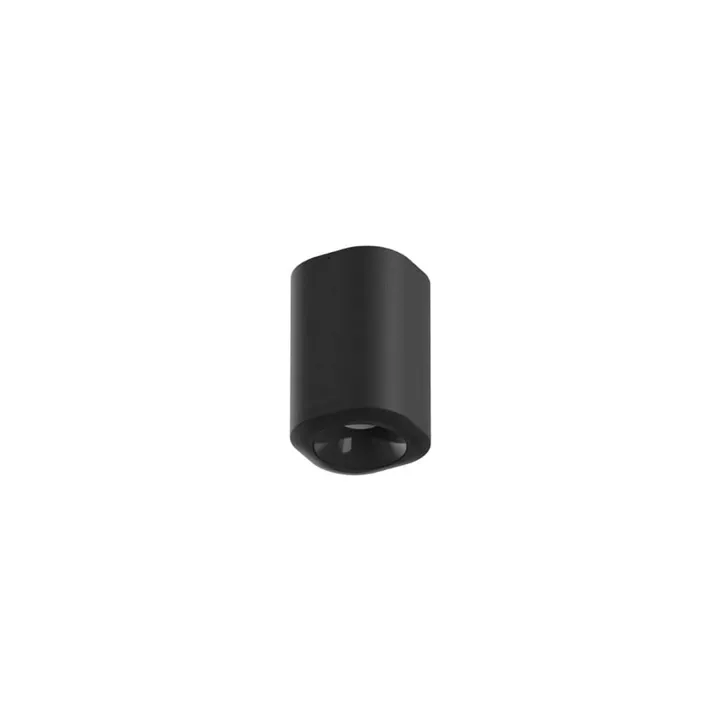 Flos Pointbreak Udendørs 1 Optic Flood Sort – udendørslampe — produktfoto