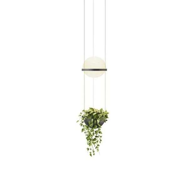 Vibia Palma med Planteskål – pendel — produktfoto