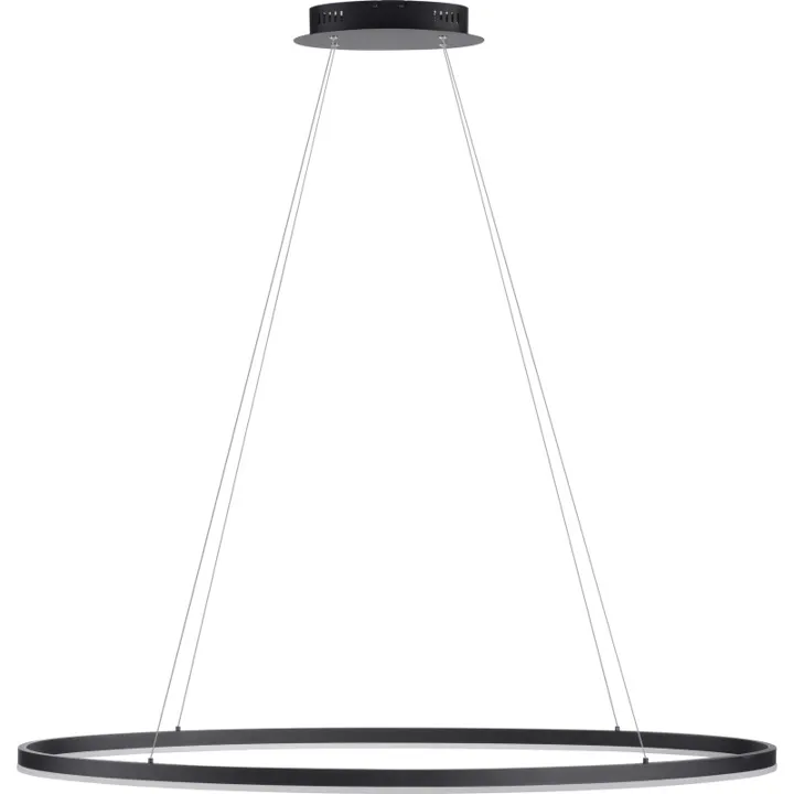 Paul Neuhaus Titus Oval , Ø118x56 cm – lysekrone — produktfoto