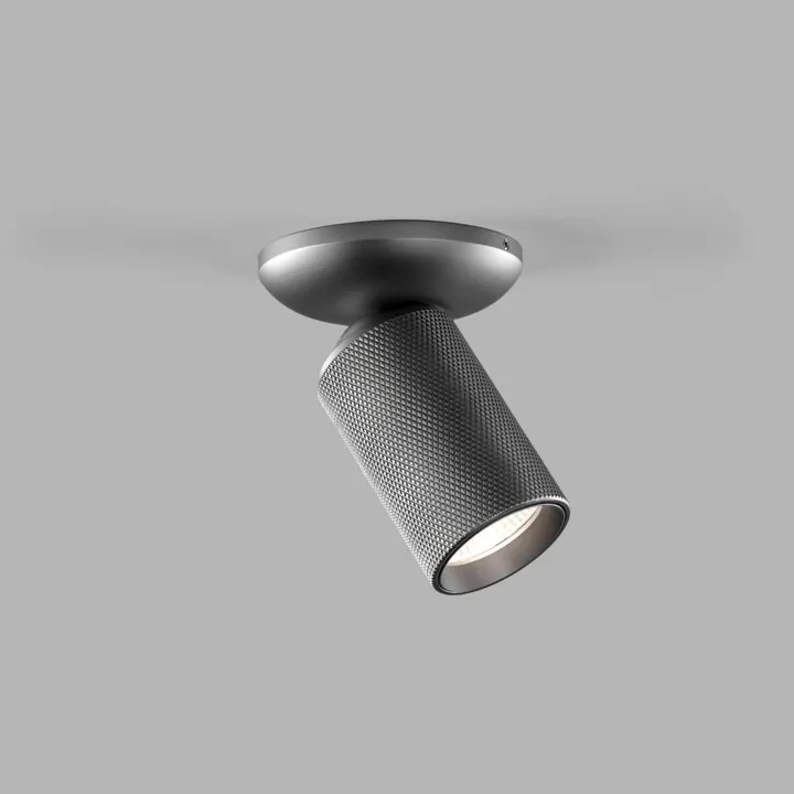 LIGHT-POINT Raw 1 2700/3000K Titanium – loftlampe — produktfoto