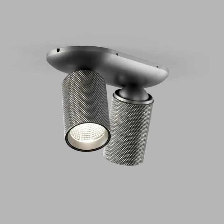LIGHT-POINT Raw 2 2700/3000K Titanium – loftlampe — produktfoto
