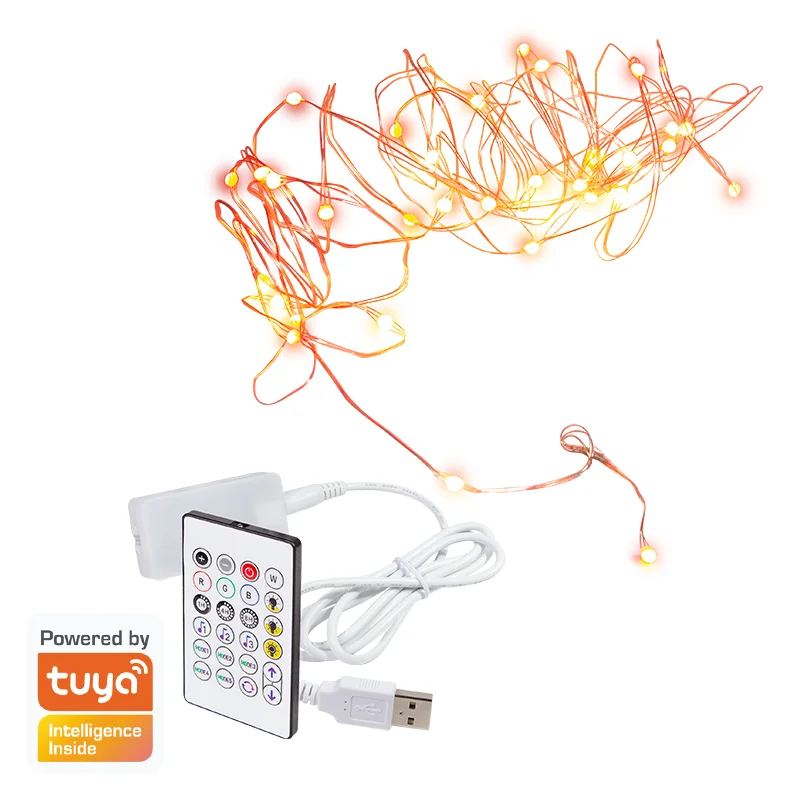 LogiLink Wi-Fi smart RGB string lights with remote control, Tuya compatible, 5 m — produktfoto