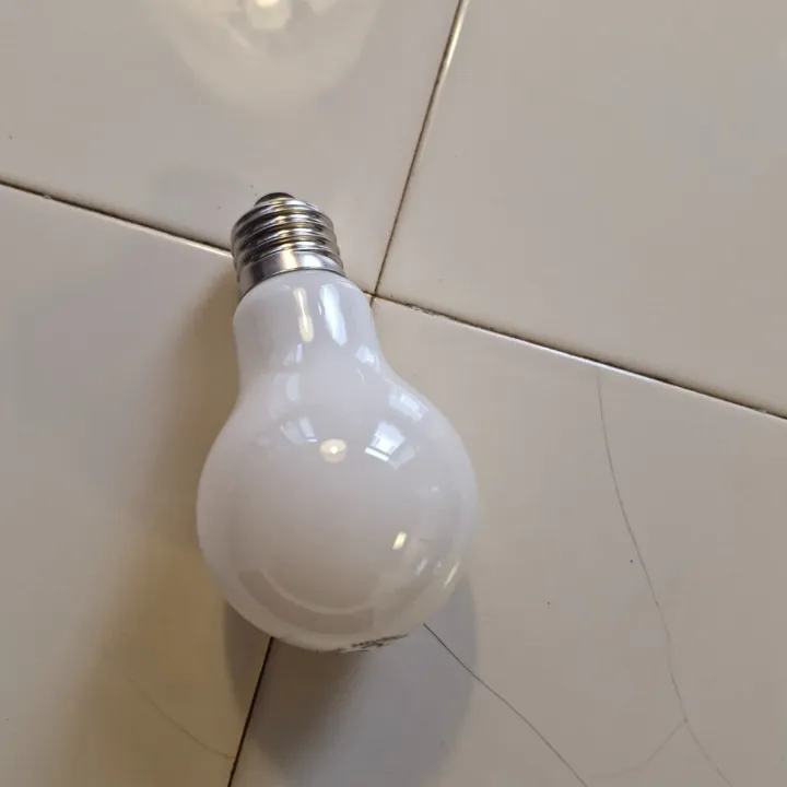 GN Diolux Norma100 E27 12W LED Tænd/Sluk – pære — produktfoto