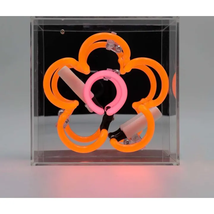 Locomocean Daisy neonskilt, orange – dekorationslys — produktfoto