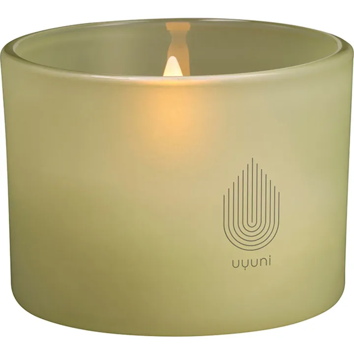 Uyuni LED stearinlys, grøn — produktfoto