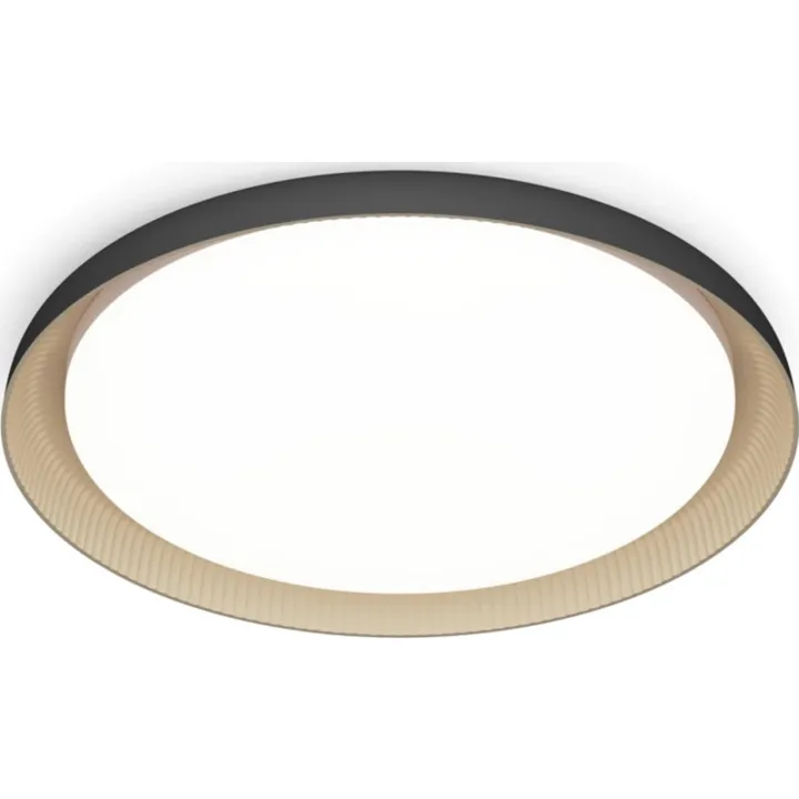 Philips Pebblo , 4000K, sort – loftlampe — produktfoto