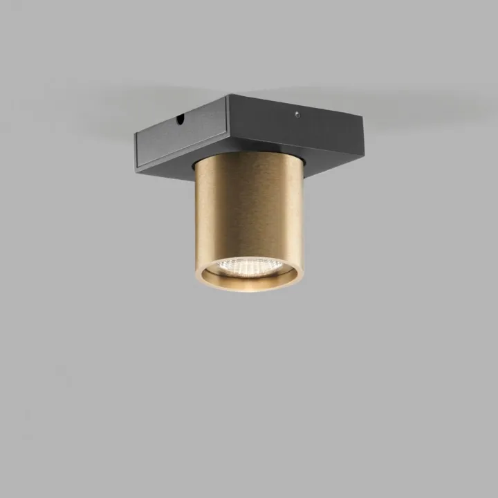 LIGHT-POINT Focus 1 LED Messing 2700K LIGHT-POINT – spot — produktfoto