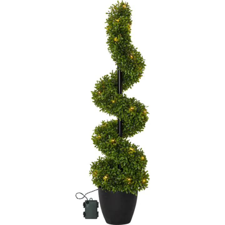 Star Trading Buxbom lystræ, 90 cm – dekorationslys — produktfoto