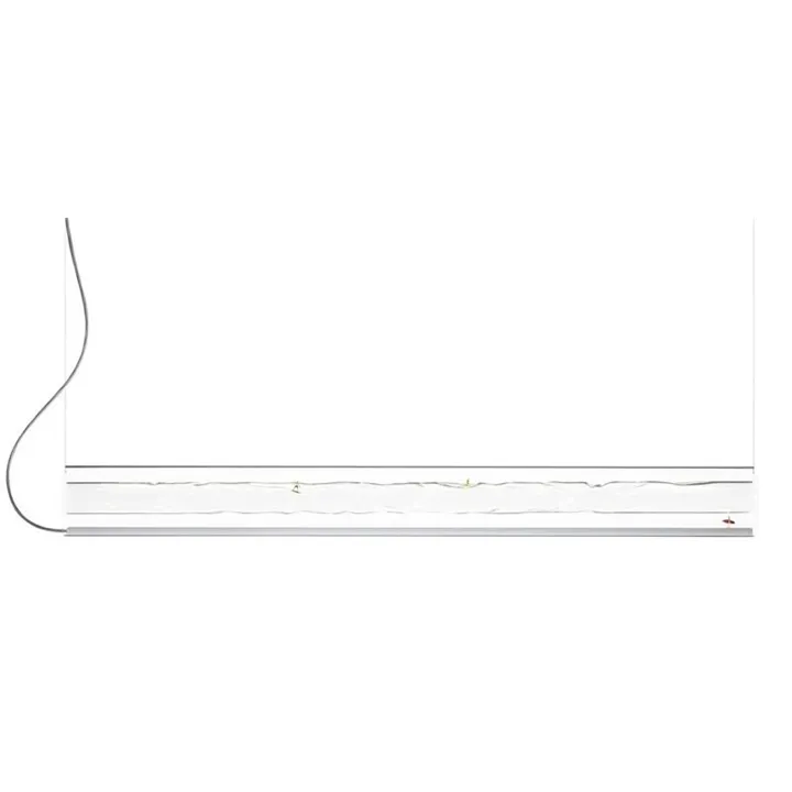 Ingo Maurer Nalum Transparent – pendel — produktfoto